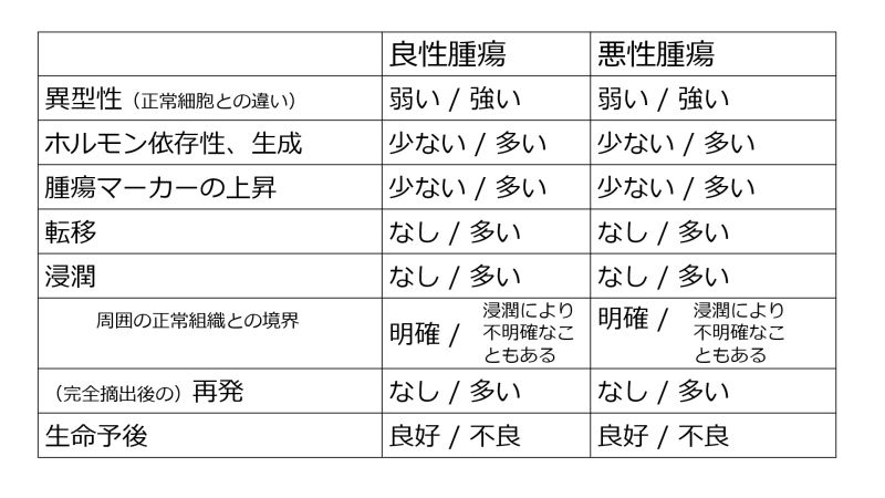 ファイル:TumorBenignMalignantBasic-Jpn-wb.jpg