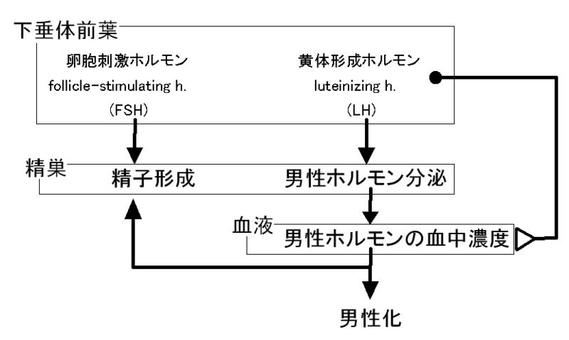 ファイル:00824.jpg