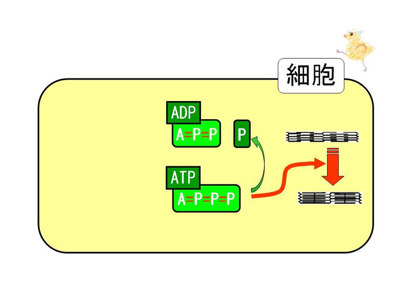 ファイル:01324.jpg