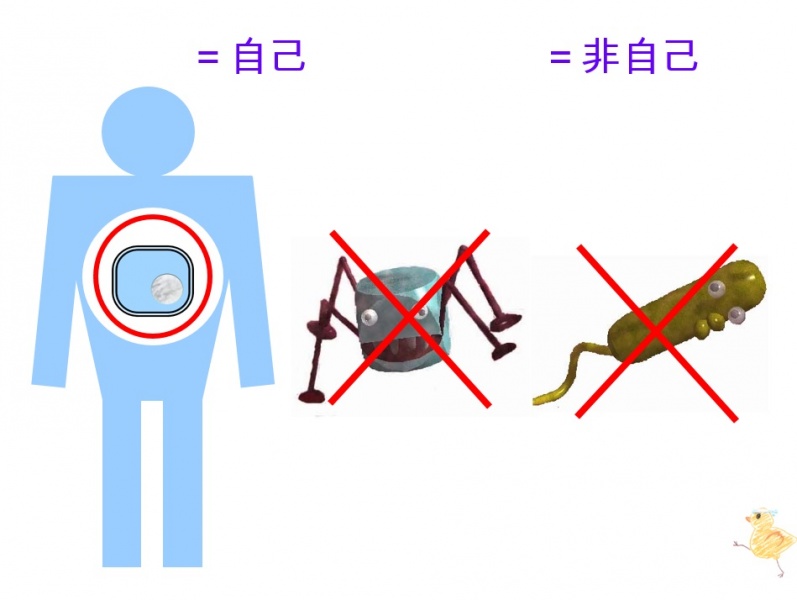 ファイル:01637-wb.jpg