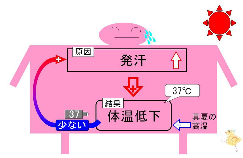 ファイル:02196.jpg