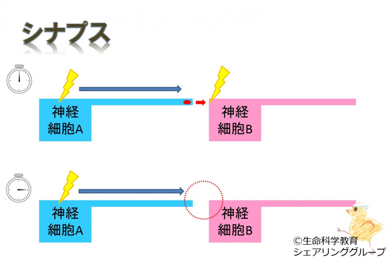 ファイル:02701-wb.jpg