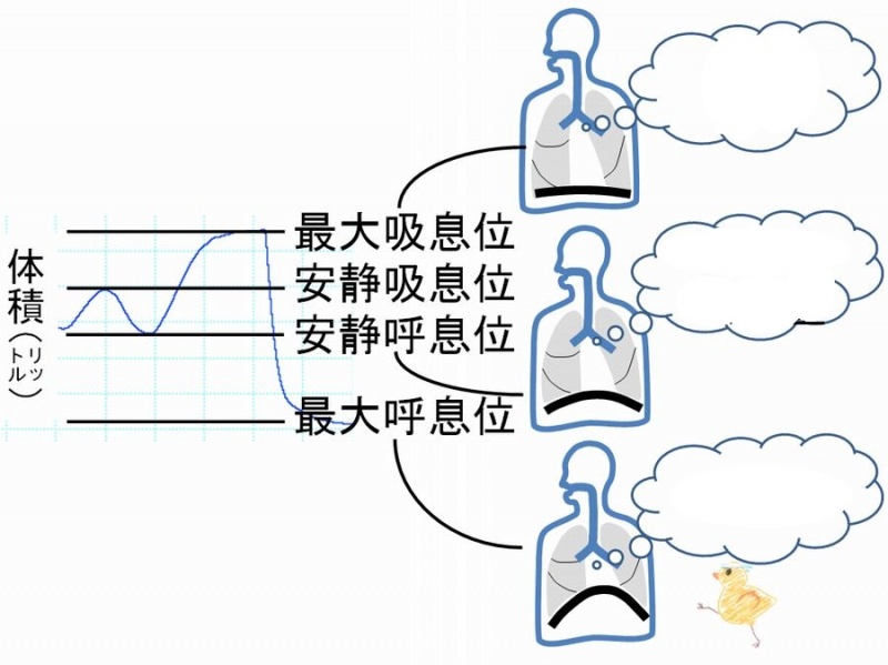 ファイル:03263-wb.jpg