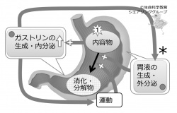 /wiki/images/thumb/7/73/04689.jpg/250px-04689.jpg