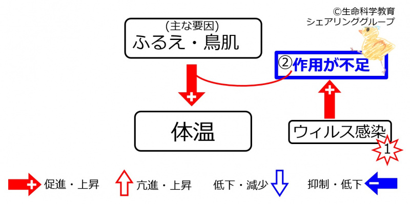 ファイル:Infection.jpg
