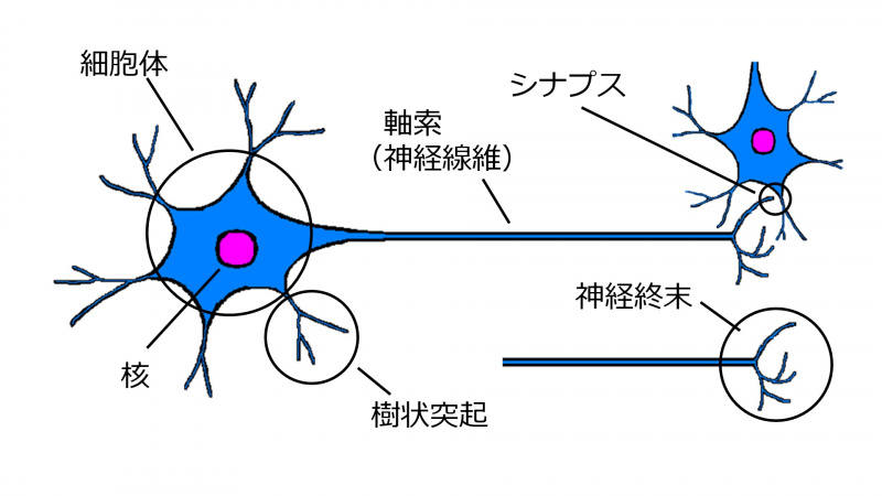 ファイル:01024.jpg