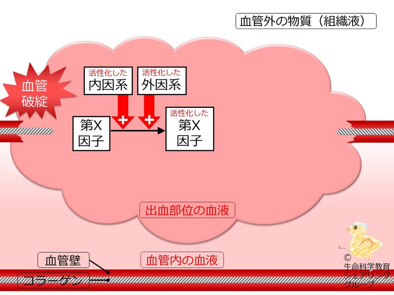 ファイル:04608.jpg
