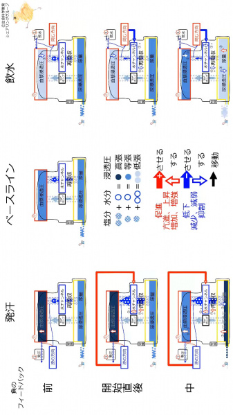 ファイル:ChannelControlSummary-wb.jpg