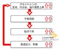 2013年5月14日 (火) 17:53時点における版のサムネイル