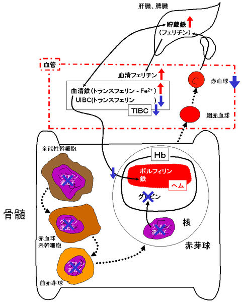 ファイル:00422.jpg