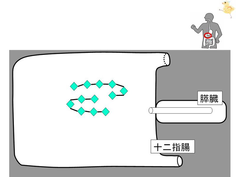 ファイル:01451.jpg