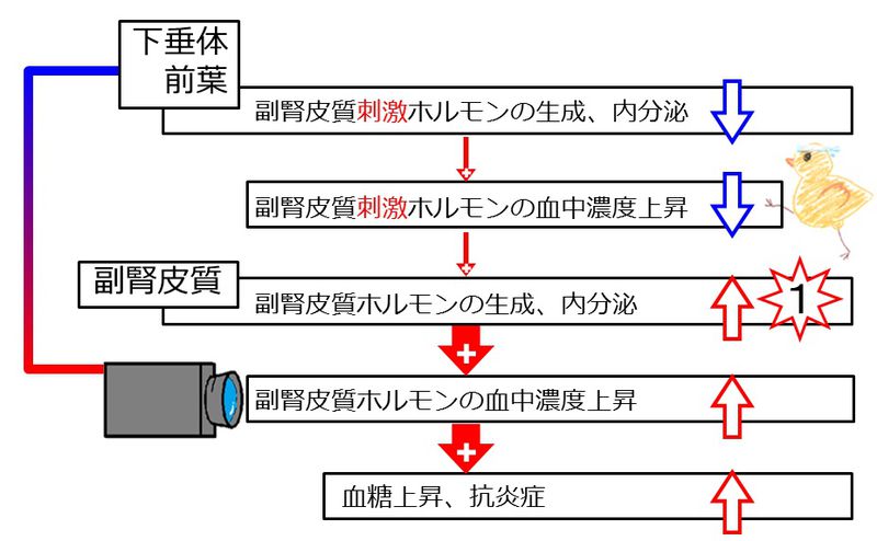 ファイル:03993.jpg