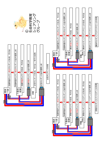 ファイル:04663Flipped.jpg