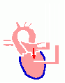 00447.gif