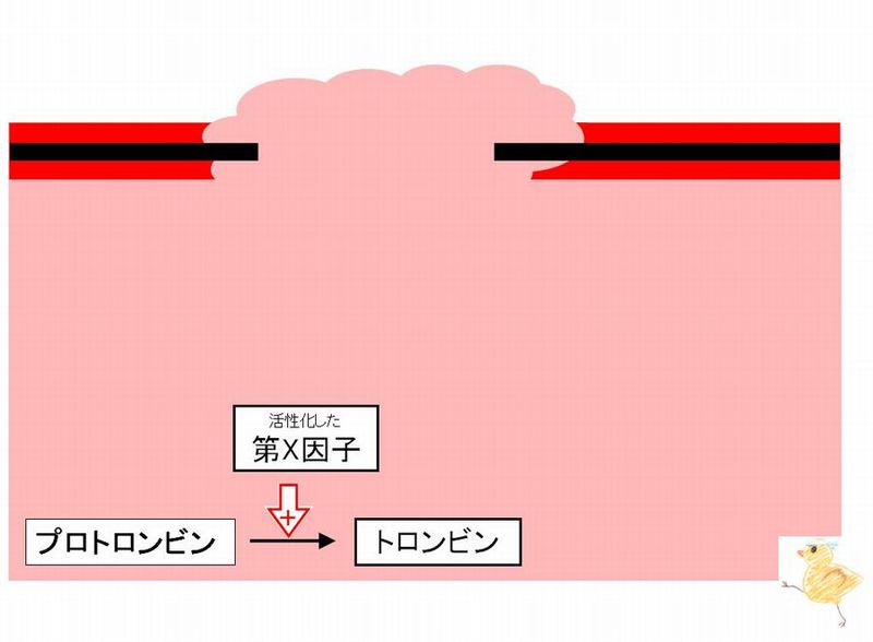 ファイル:03031.jpg