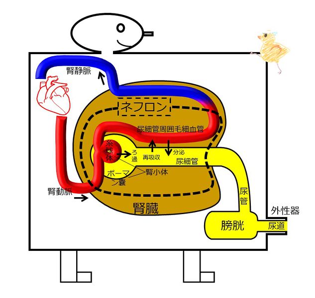 ファイル:04077.jpg