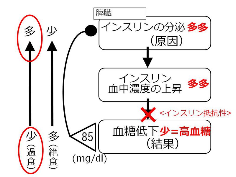 ファイル:01481.jpg