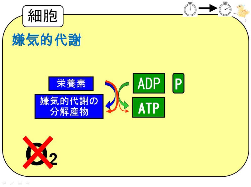 ファイル:03414.jpg