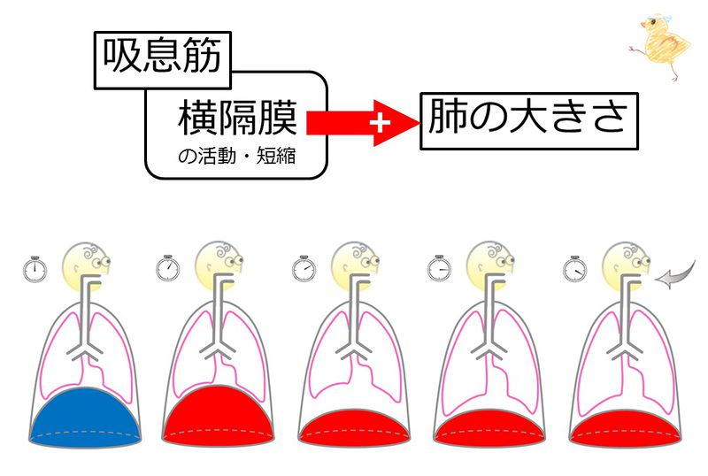 ファイル:04030.jpg