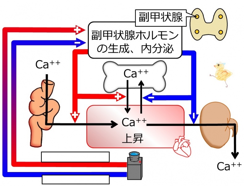 ファイル:04418-wb.jpg