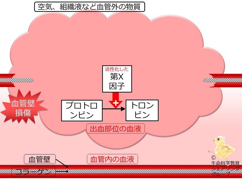 ファイル:04701.jpg