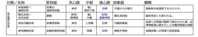 ファイル:体性内臓反射.jpg