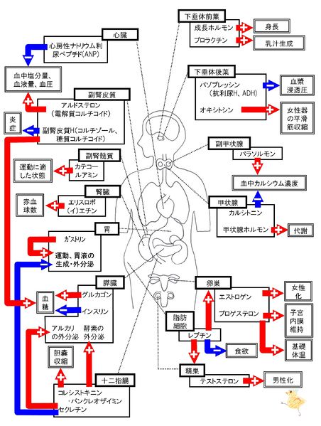 ファイル:03546.jpg