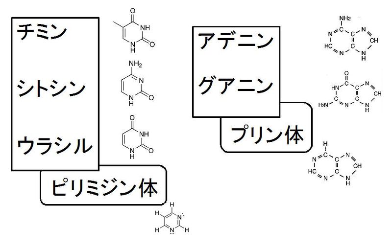 ファイル:01869.jpg