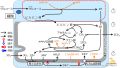 2025年2月13日 (木) 16:57時点における版のサムネイル