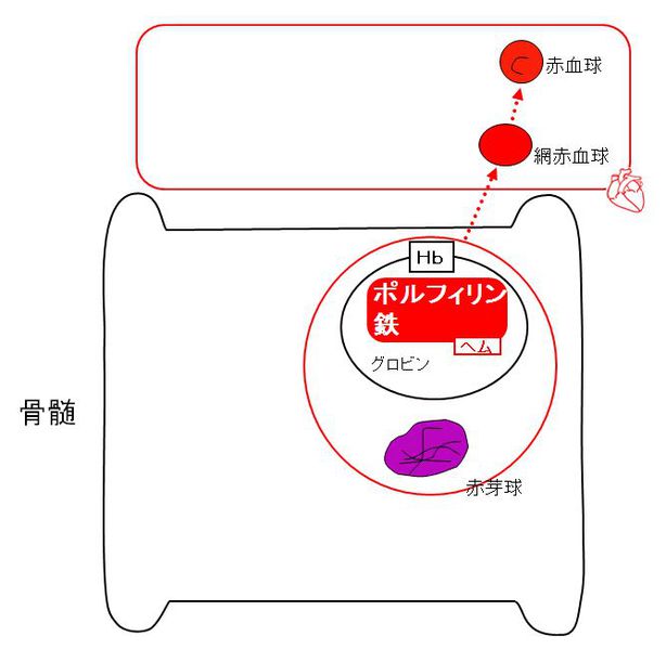 ファイル:00386.jpg