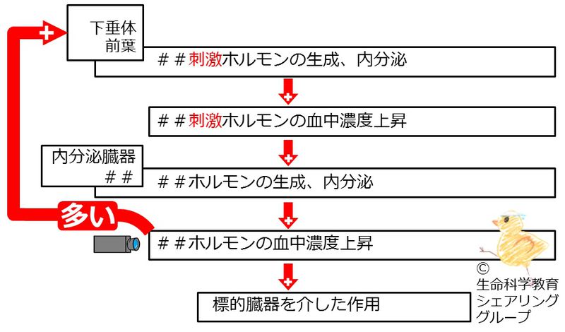 ファイル:04662.jpg