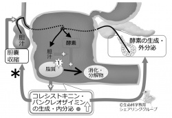 /wiki/images/thumb/7/7b/Cck_quiz02.jpg/250px-Cck_quiz02.jpg