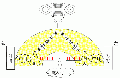 00224.gif