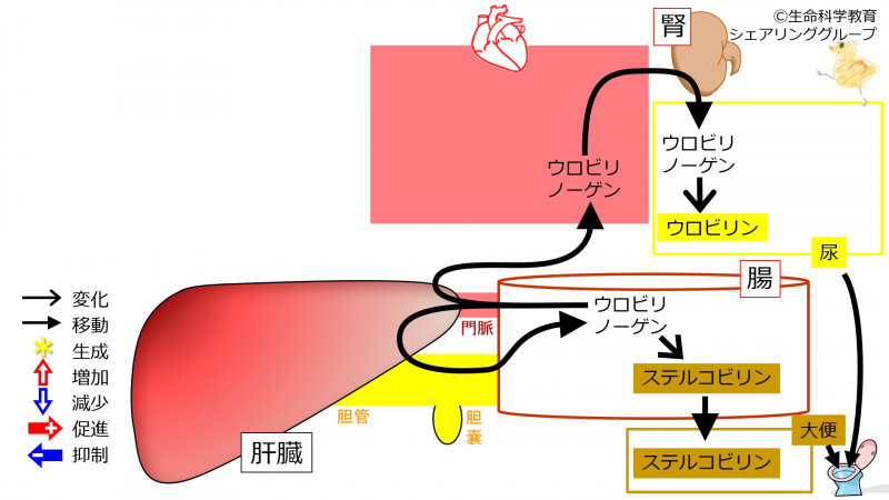 ファイル:01140.jpg