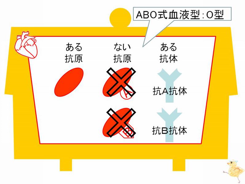 ファイル:02422.jpg