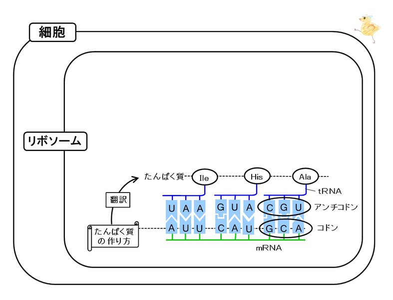 ファイル:03495.jpg