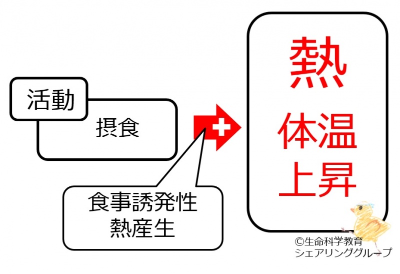 ファイル:03970.jpg