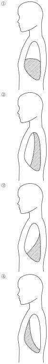 /wiki/images/thumb/7/7c/99_PM10.jpg/100px-99_PM10.jpg