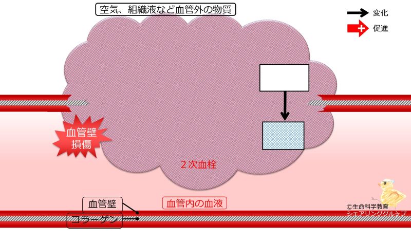 ファイル:CoagulationIntroBasic-Jpn-wb.jpg