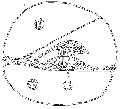 00213.gif