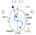 2022年3月7日 (月) 10:14時点における版のサムネイル