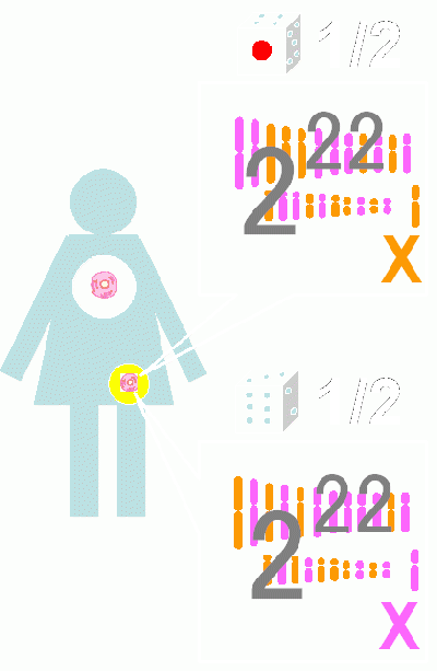 01172.gif