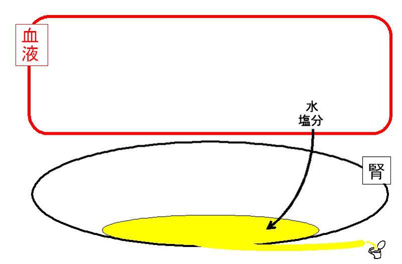 ファイル:01349.jpg