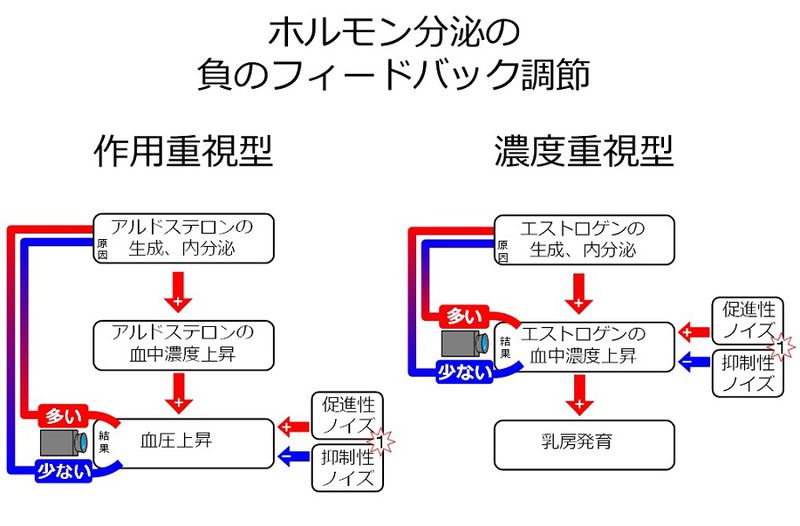 ファイル:03939.jpg