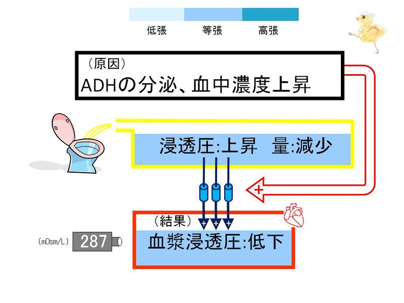 ファイル:02889.jpg
