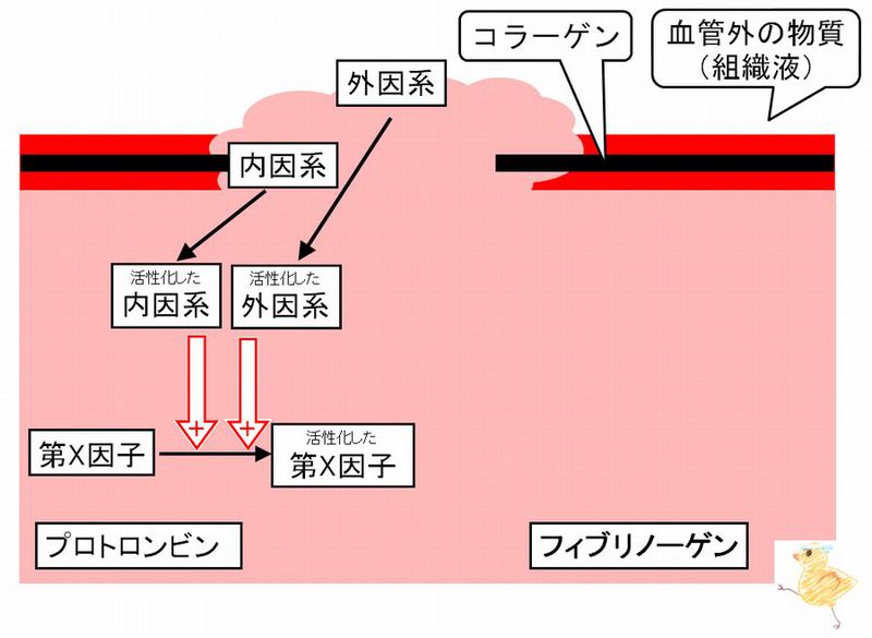 ファイル:03016.jpg