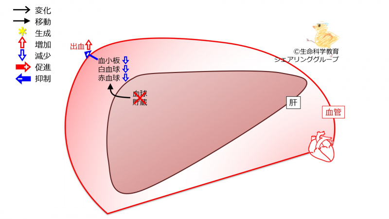 ファイル:03866.jpg
