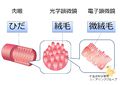 2013年5月30日 (木) 16:35時点における版のサムネイル