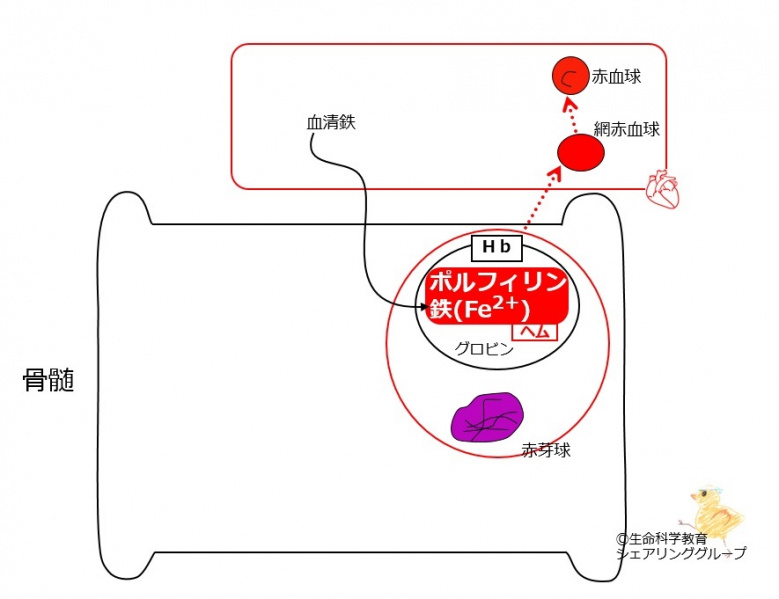 ファイル:00392-wb.jpg