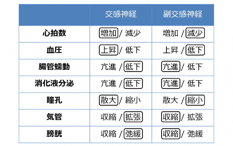 ファイル:04519.jpg